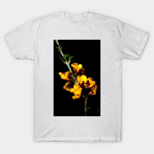 Spring Breakfast T-Shirt